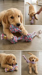 Cotton Rope Knot Dog Chew Toy – Interactive Tug & Dental Play