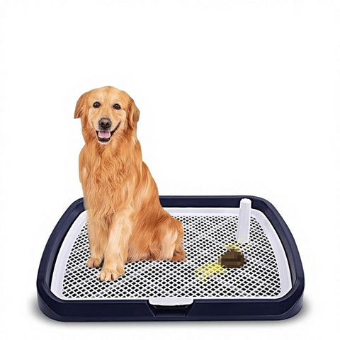 Automatic Dog Potty Tray with Pee Pad Holder  Easy-Clean Indoor Toilet for Small, Medium & Large Dogs