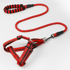 Reflective Double Adjustable Nylon Small and medium  Dog Combo Collar Leash and Harness Set