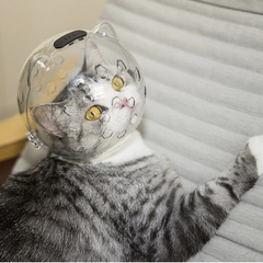 Adjustable Hood Kitten Breathable Anti Bite Cat Muzzles Prevent Cats Biting and Chew Cats Helmet
