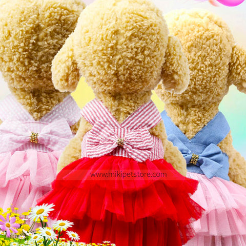 All Season Cat and Puppy Party Dress