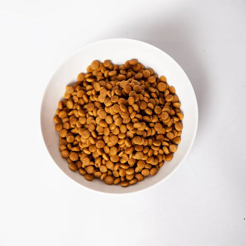 Pramy Carnivore Adult Dry Cat Food with Chicken