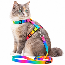 Rainbow Adjustable Cat Harness and Leash Set  Colorful Nylon Walking Harness for Cats