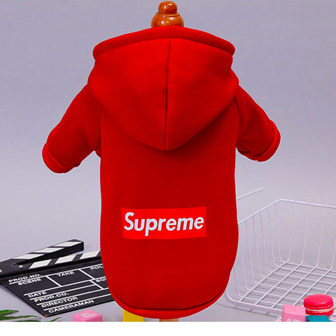 Champion Pet Hoodie- for puppy & Cats