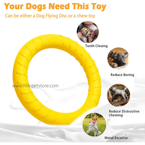 EVA Flying Disc Interactive Training Ring