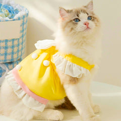White cat in a summer princess dress with big bow – pet outfit in BD


