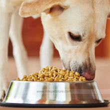 Stainless Steel Dog Water Bowl Rubber Base