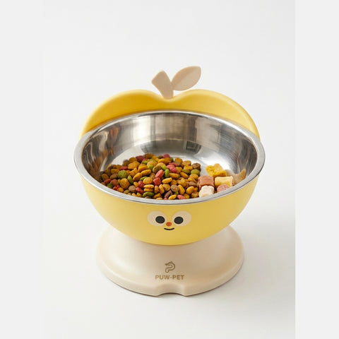 Non Slip Elevated Pet Bowl with Stainless Steel Insert for Cats & Small Dogs
