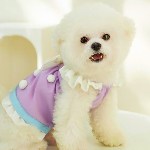 Cat & Dog Dress  Spring/Summer Princess Skirt with Big Bow