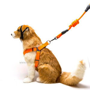 Pet Leash Adjustable Nylon Cat Dog Harness Collar Set