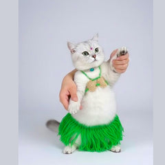 Kitty Costume – Cute Hawaiian Skirt & Top Set for Cats