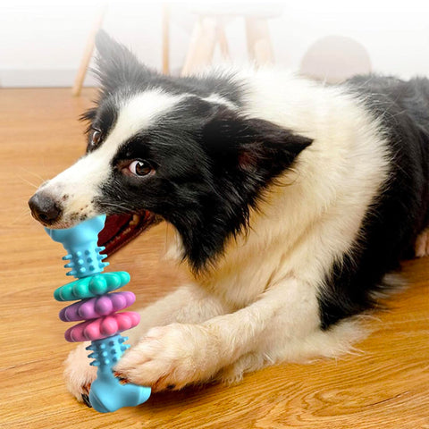 Dog Chew Bone Clean Teeth Gum Bone Dog Toy