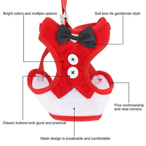 Elegant Bowtie Pet Harness with Leash
