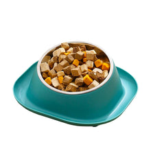 NoSpill Anti Pet Bowl for Cats Kittens & Small Dogs