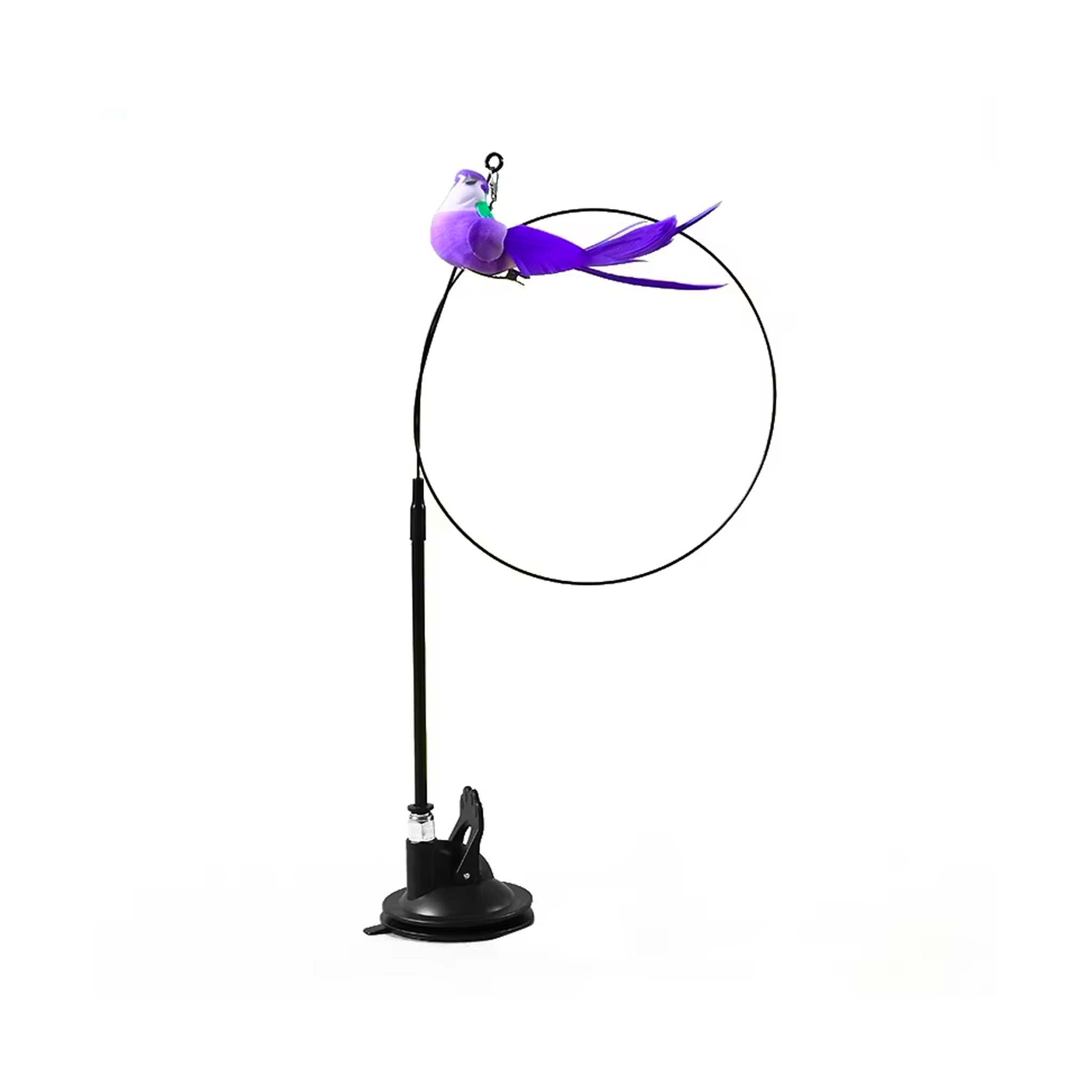 Cheap and fun teaser toy for dogs and cats – lightweight wand with bell and feathers