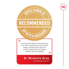 Royal Canin Wet Food British Shorthair  Gravy Adult Pouch 85g