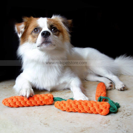 Cotton Rope Chew Toy for Dogs – Interactive Teeth Cleaning Toy for Puppies & Medium Breeds