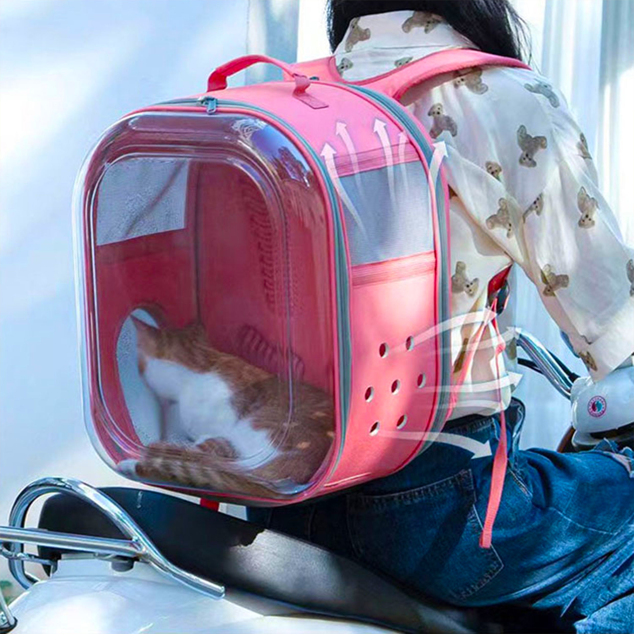 Transparent breathable pet backpack carrier with clear front panel, mesh sides, ventilation holes, and padded shoulder straps