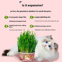 Spring Mix Cat Grass Treats by Greedy Horse