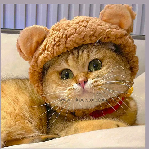 Cute Bear Shape Cat Dog Hat with Ears Pet Headwear Costume