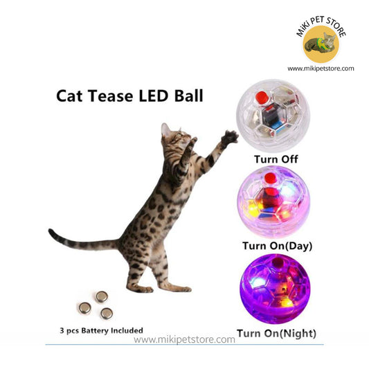 Hot Sale LED Flashing Ball Cat Toy – Interactive Magic Tease Toy for Cats
