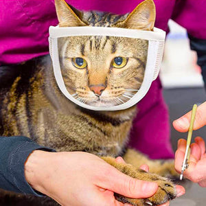 Cat Grooming Muzzle Breathable Clear PVC Mask
