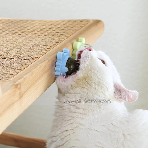 Cat Catnip Lick Spinning Ball Toy Snacks Nutrition Treats