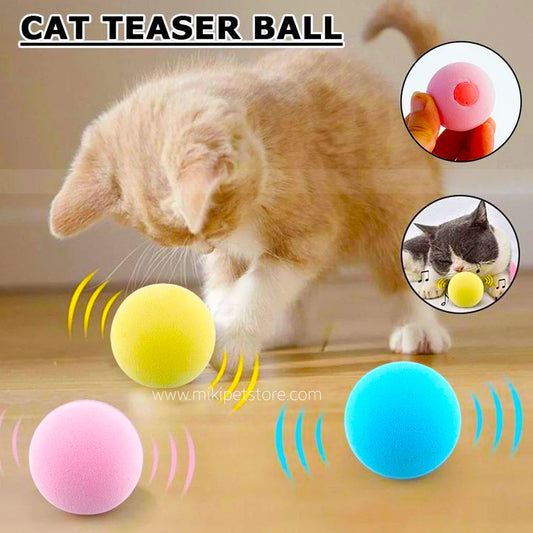 Interactive Catnip Squeaky Play Ball