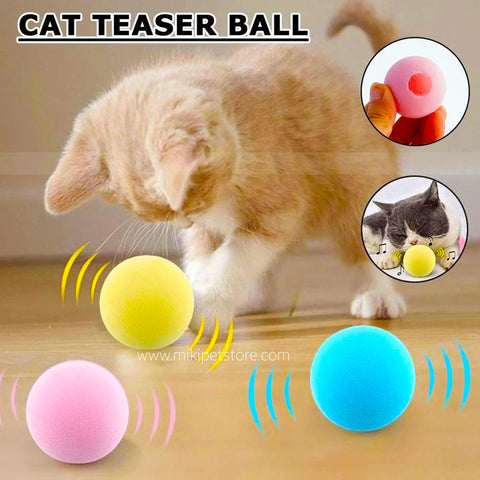 Interactive Catnip Squeaky Play Ball