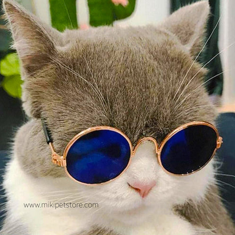 Cool Multi Colors Dazzle Metal Fashion Pet Sunglasses
