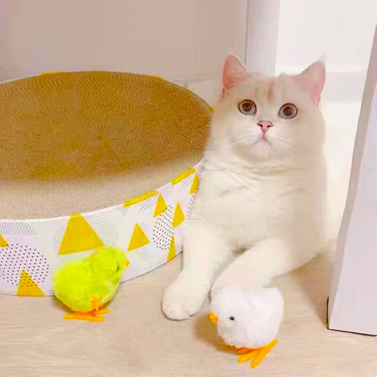 chicken  cat toy , cheap cat toy 