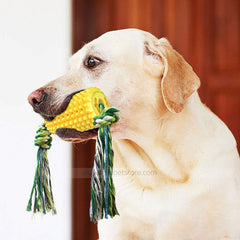 Dog Toothbrush Chew Toy – Corn Molar Stick with Rope for Dental Care and Brushing