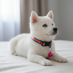 Pet Necklace Multicolor Adjustable Nylon Collar with Solid Dot Print Webbing Bells Dogs collar