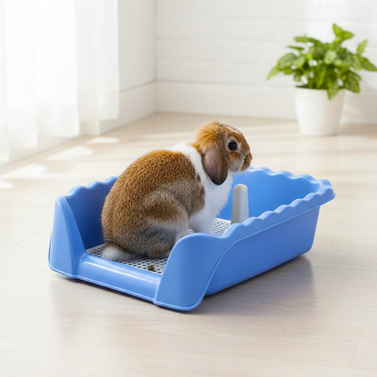 Rabbit Toilet Large High Fence Easy Clean Leaking Proof Wavy Pet Toilet for Medium  Rabbit