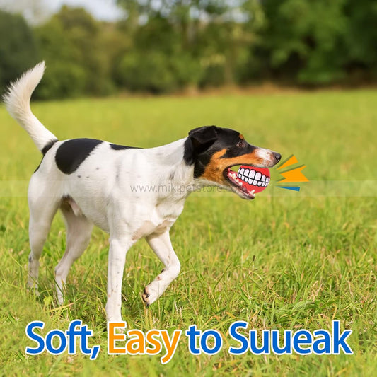 Squeaky Silicone Chew Ball – Interactive Teeth-Cleaning Toy for Dogs