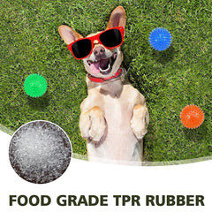 Squeaky Bouncing Rubber Bite Resistant Led Spiky Dog Pet Ball