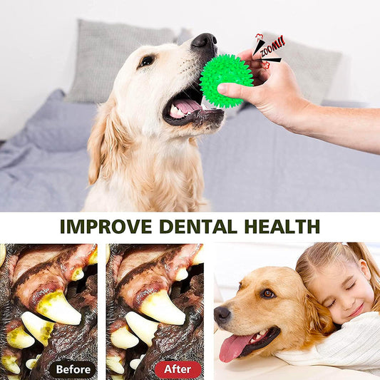 Squeaky Bouncing Rubber Bite Resistant Led Spiky Dog Pet Ball