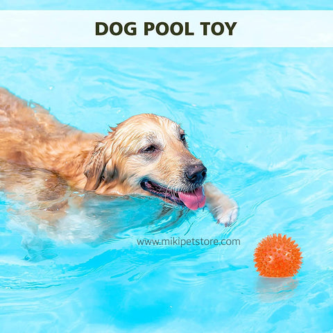 Squeaky Bouncing Rubber Bite Resistant Led Spiky Dog Pet Ball