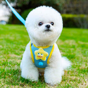 Cat Small Dog Leash Anti Break Cute Animal Harness Collar