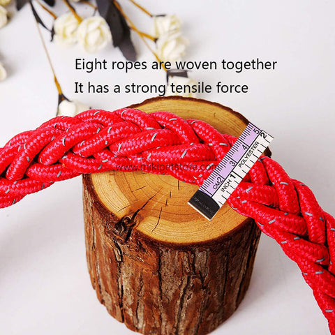 Large Dog Leash Collar Set