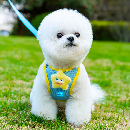 Cat Small Dog Leash Anti-Break Cute Animal Harness Collar