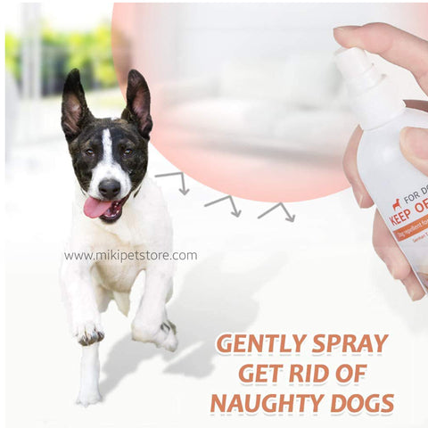 Anti Chew Dog Spray Bitter Deterrent 175ml