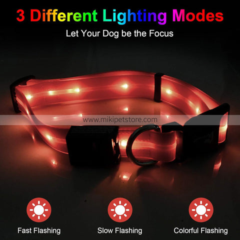 GlowPaw LED Dog Collar Adjustable Light-Up Collar