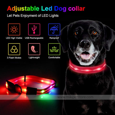 GlowPaw LED Dog Collar Adjustable Light-Up Collar