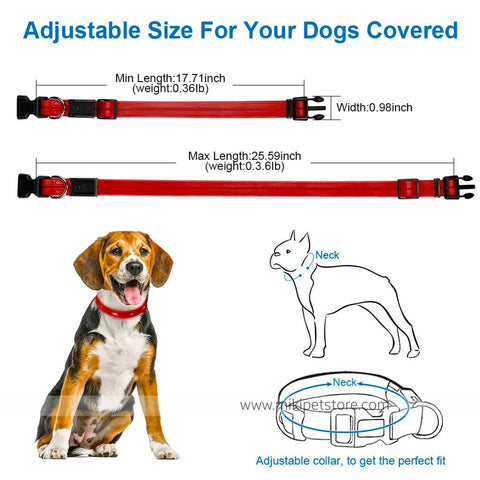 GlowPaw LED Dog Collar Adjustable Light-Up Collar