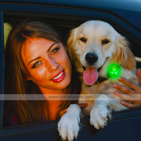 LED Waterproof Silicone Dog Collar