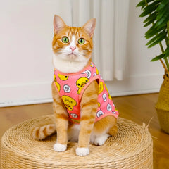 Little Yellow Duck Cartoon Pet Sweater - Dog & Cat Winter/Spring/Fall Clothes