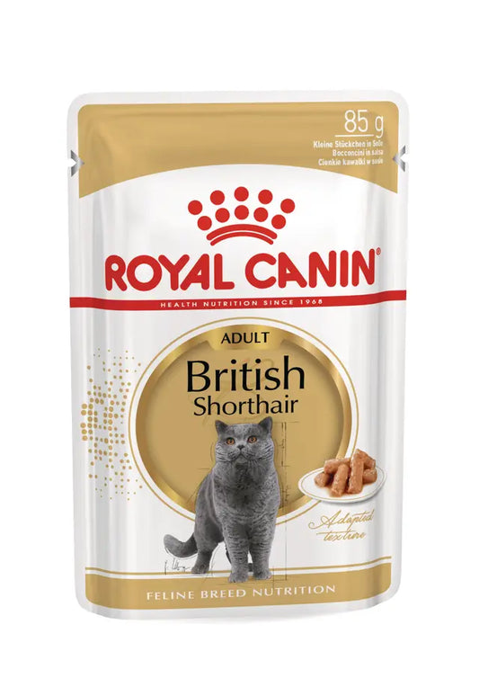 Royal Canin Wet Food British Shorthair  Gravy Adult Pouch 85g