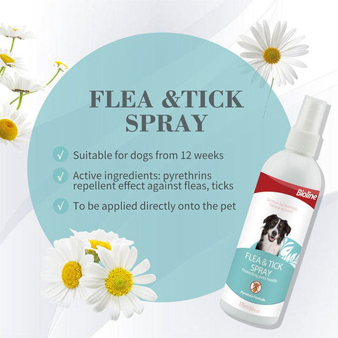 Bioline Flea and Tick Spray for Dogs in Bangladesh | Natural Care