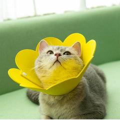 Sunflower Pet Recovery Collar For Cat & Dog